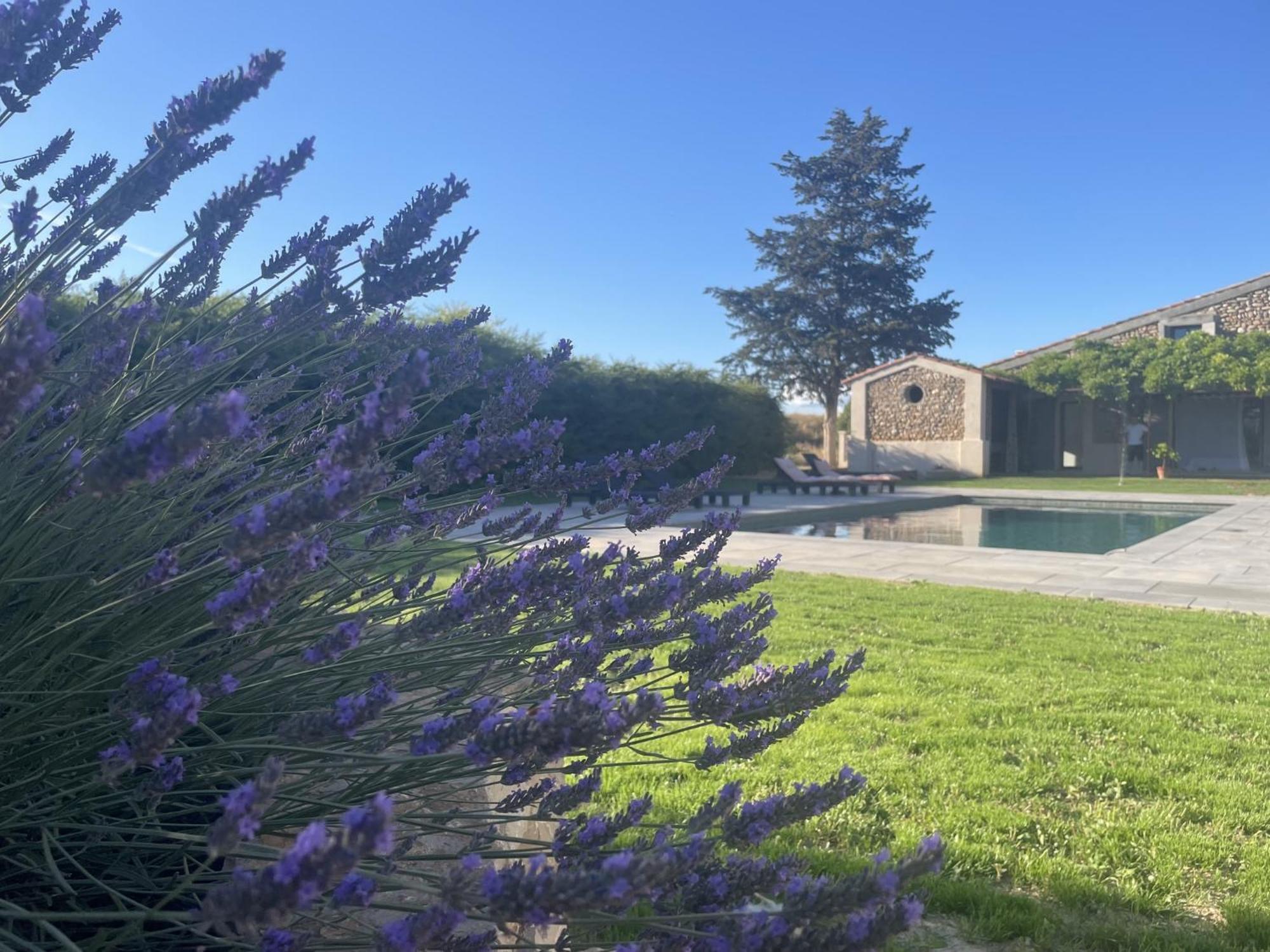 Hotel Les Mazets Du Pas Gréoux-les-Bains Esterno foto
